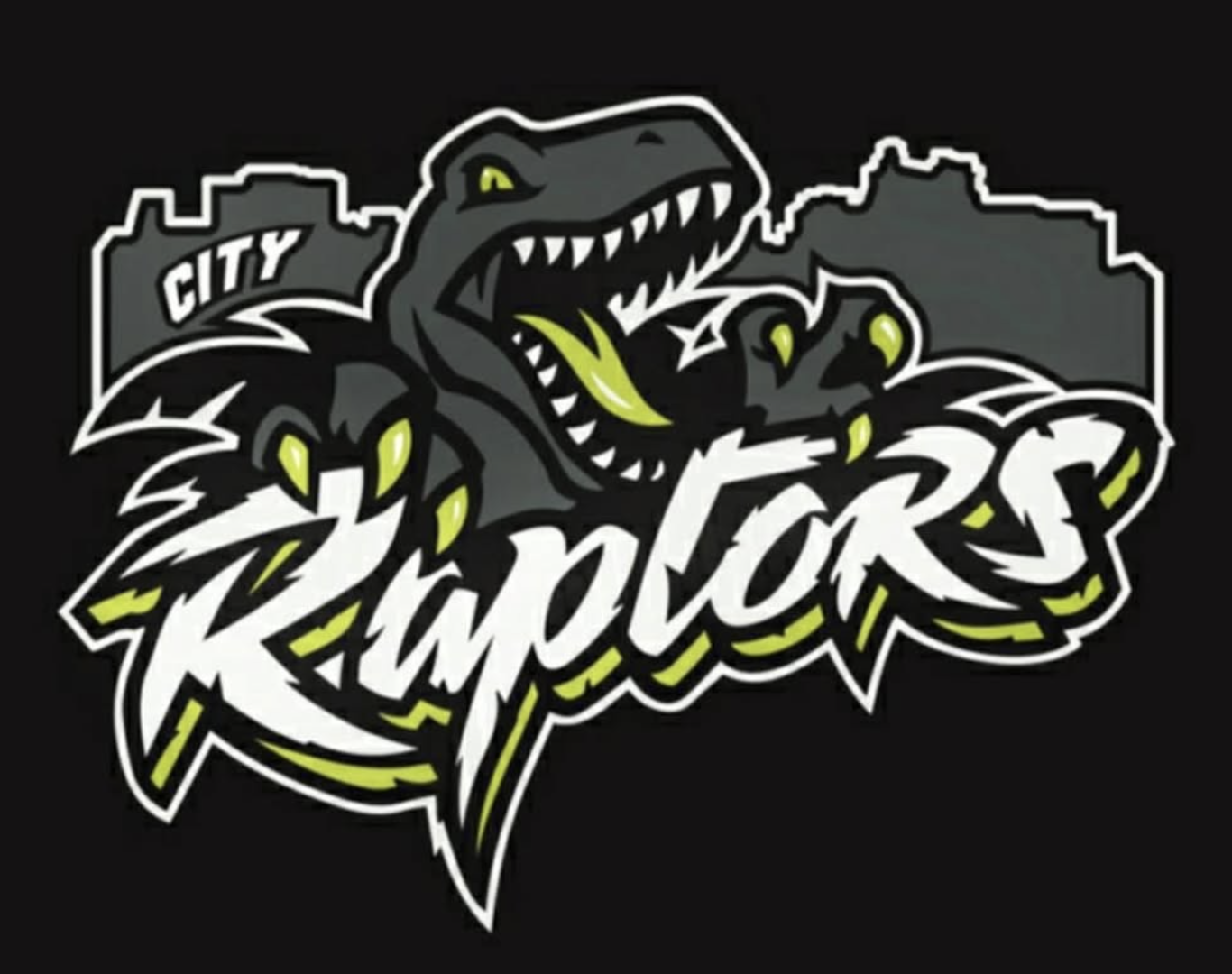 Wilmington City Raptors